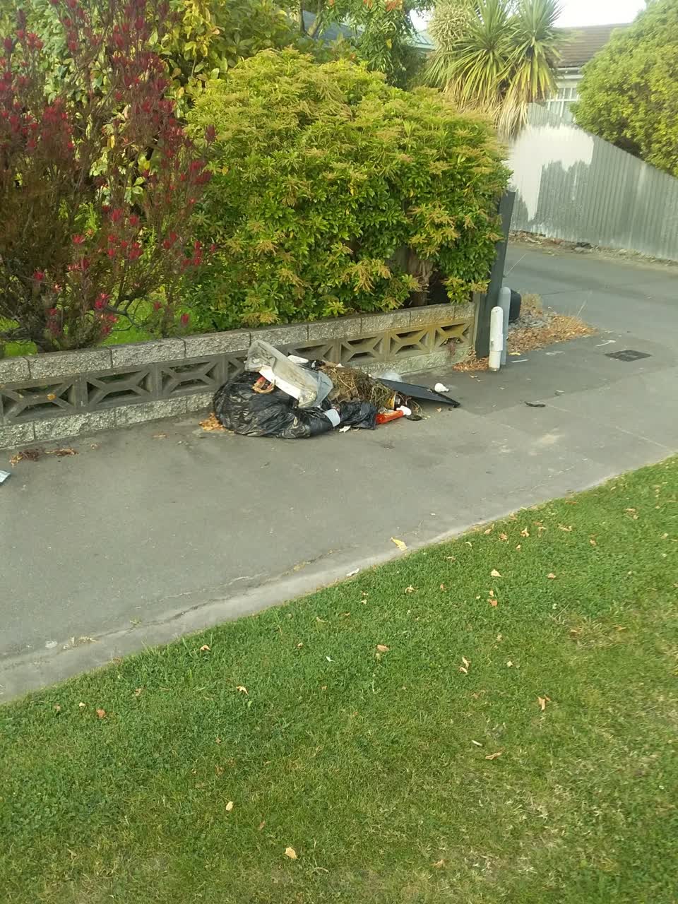 The photograph attached to this rubbish/recycling report
