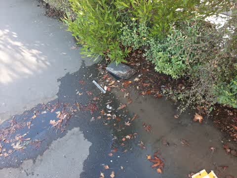Water Leak, a report photo