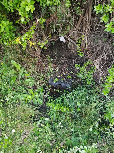 Water Leak, a report photo
