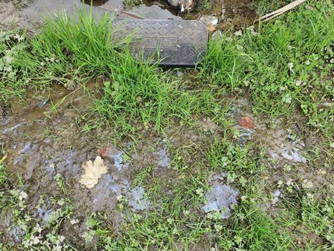 Water Leak, a report photo
