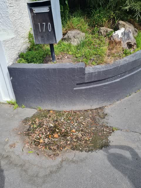 Water Leak, a report photo