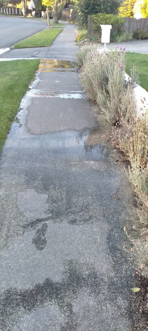 Water Leak, a report photo