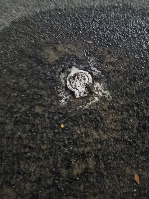 Water Leak, a report photo