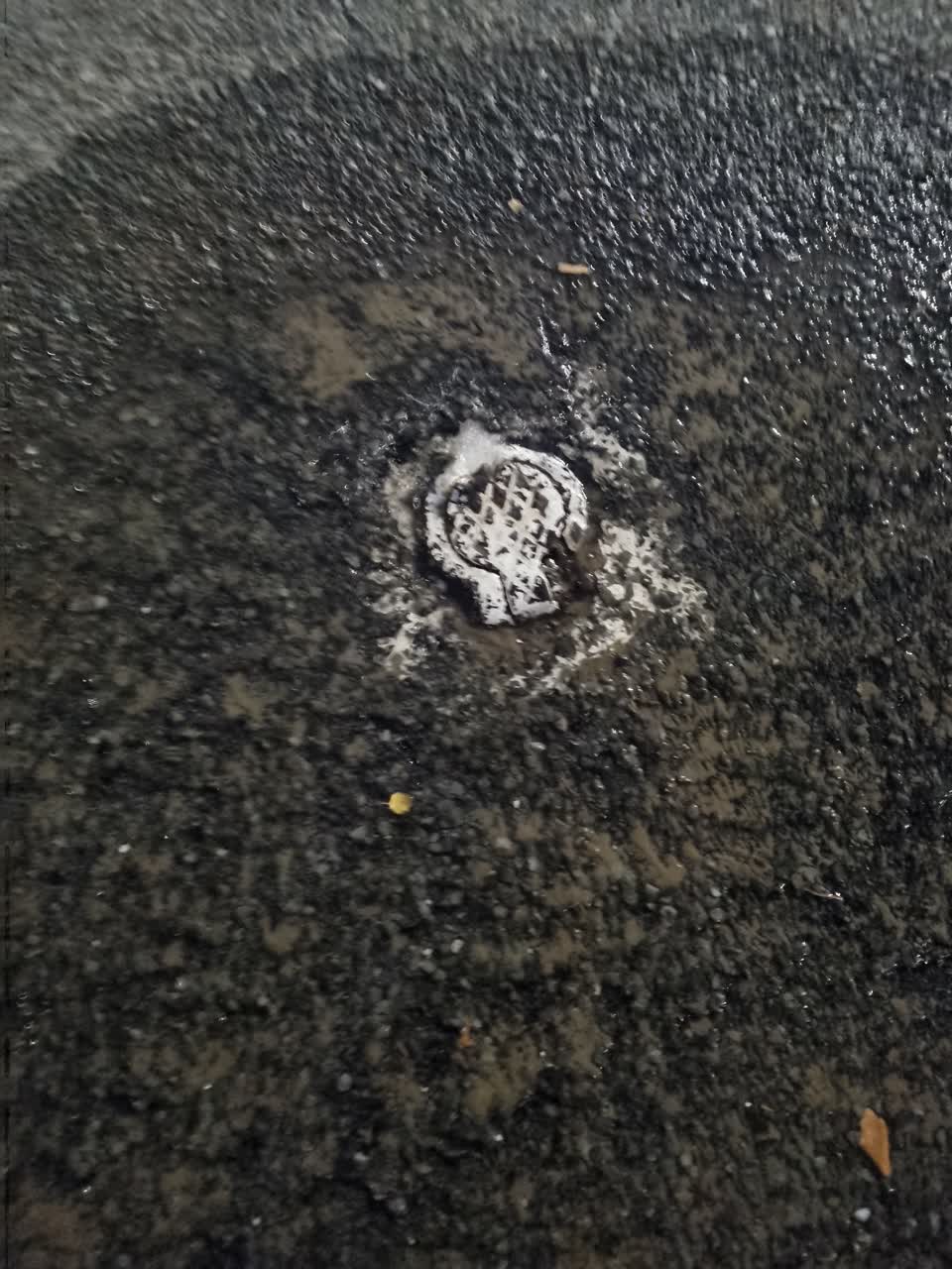 The photograph attached to this water leak report