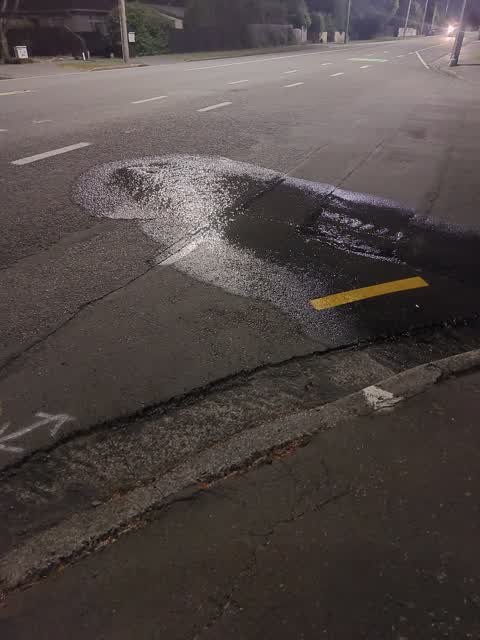 Water Leak, a report photo