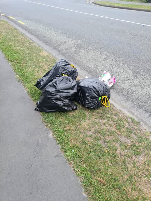 Rubbish/Recycling, a report photo