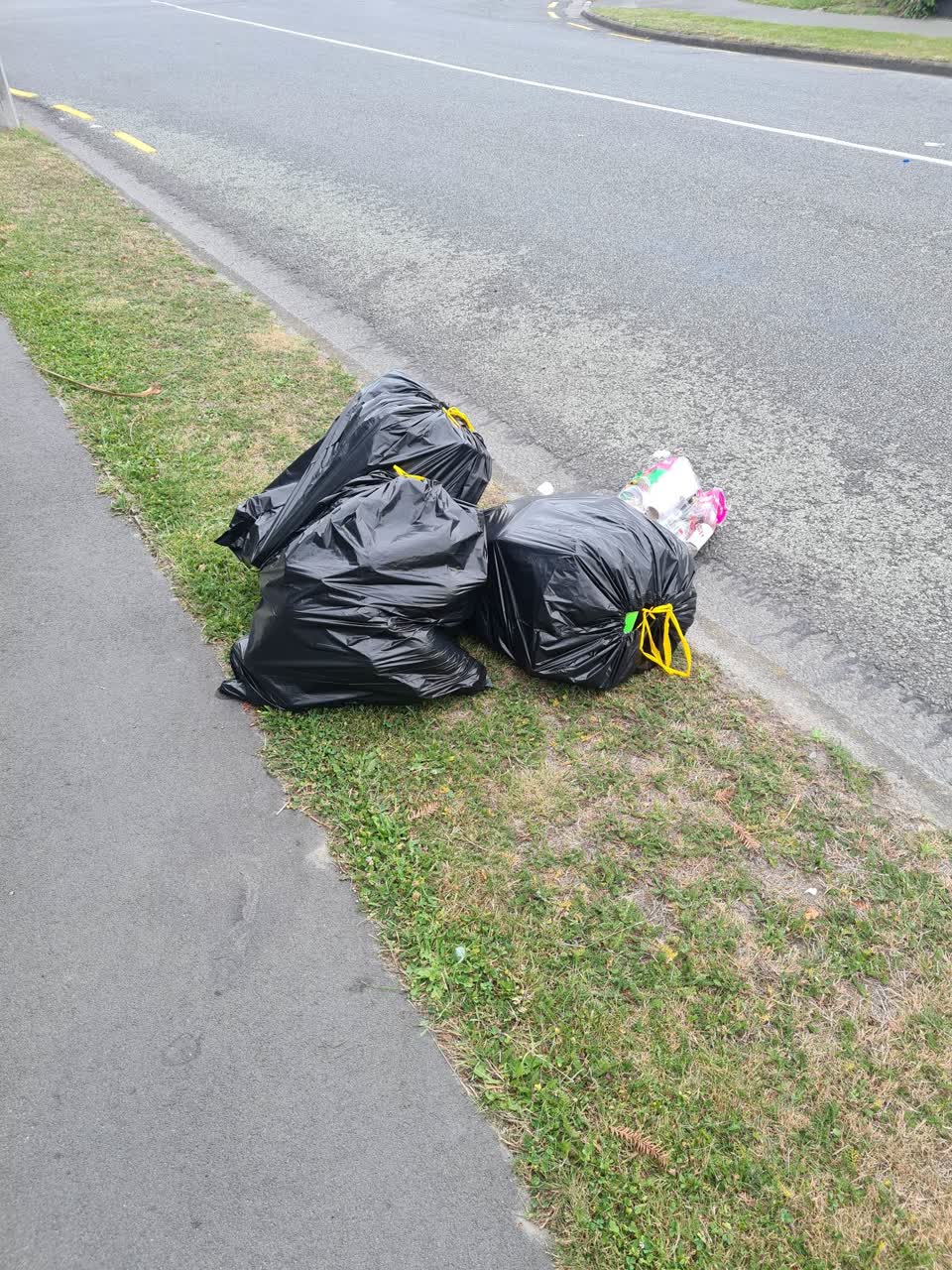 The photograph attached to this rubbish/recycling report