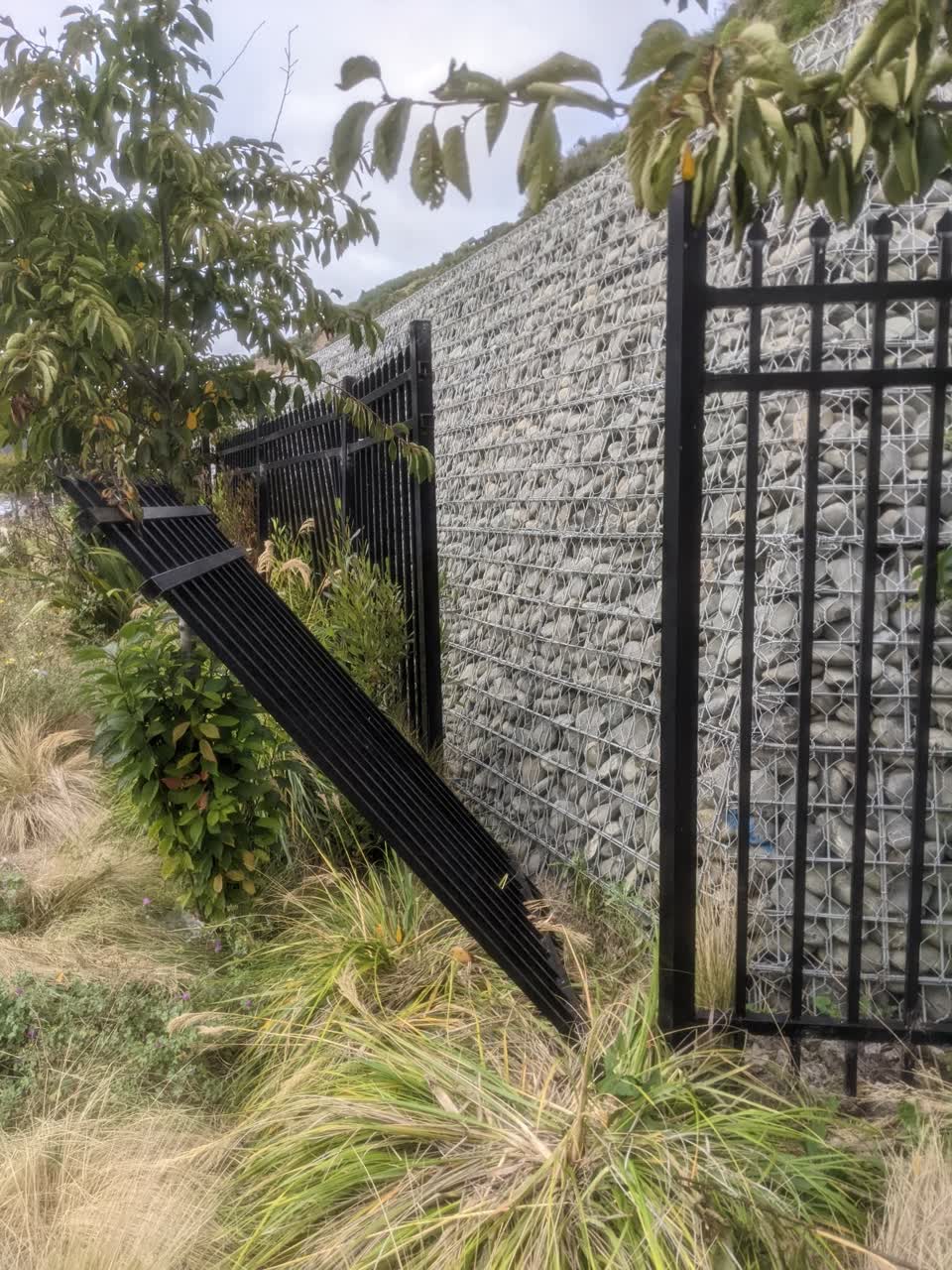 The photograph attached to this parks report