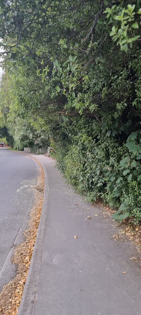 Roading/Streets, a report photo