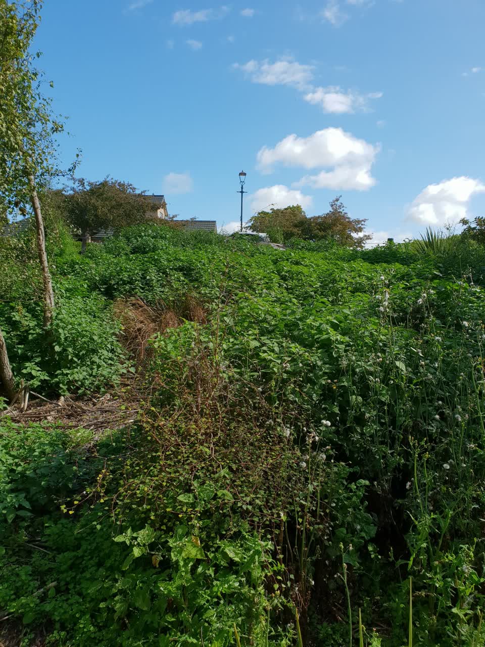 The photograph attached to this parks report
