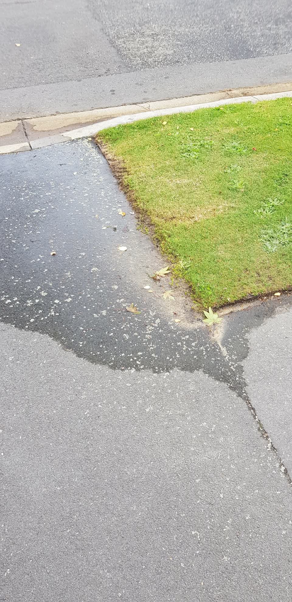 The photograph attached to this water leak report
