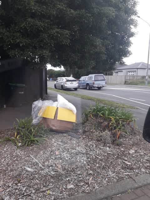 Rubbish/Recycling, a report photo