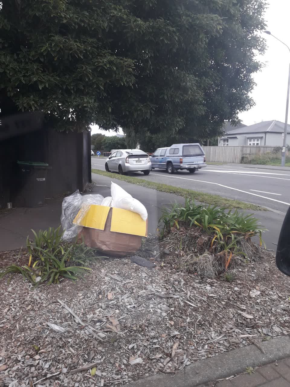 The photograph attached to this rubbish/recycling report