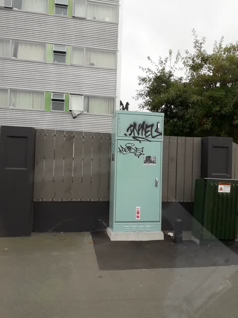 Graffiti, a report photo