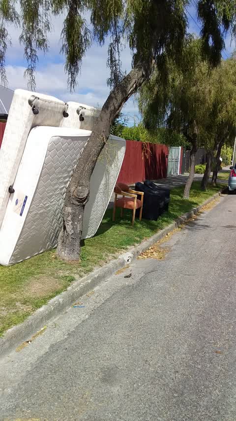 Rubbish/Recycling, a report photo