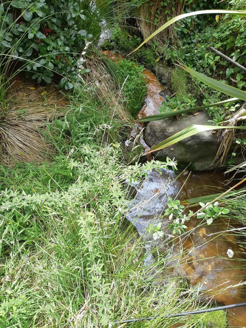 The photograph attached to this wastewater/stormwater report