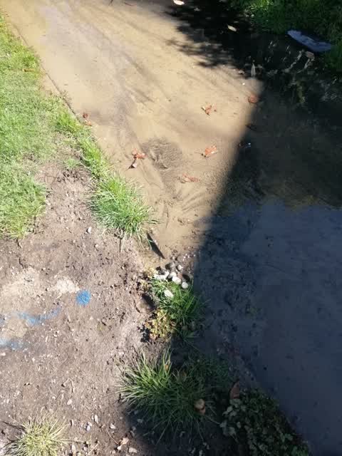 Flooding, a report photo