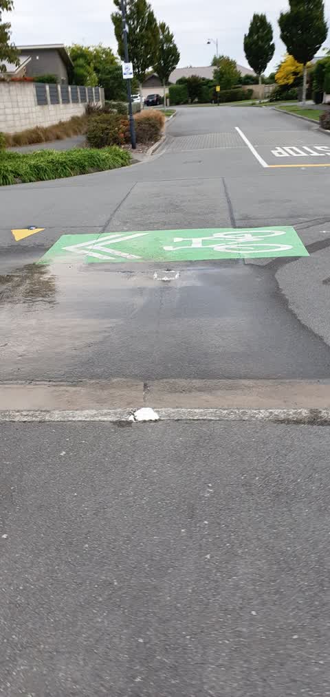 Water Leak, a report photo