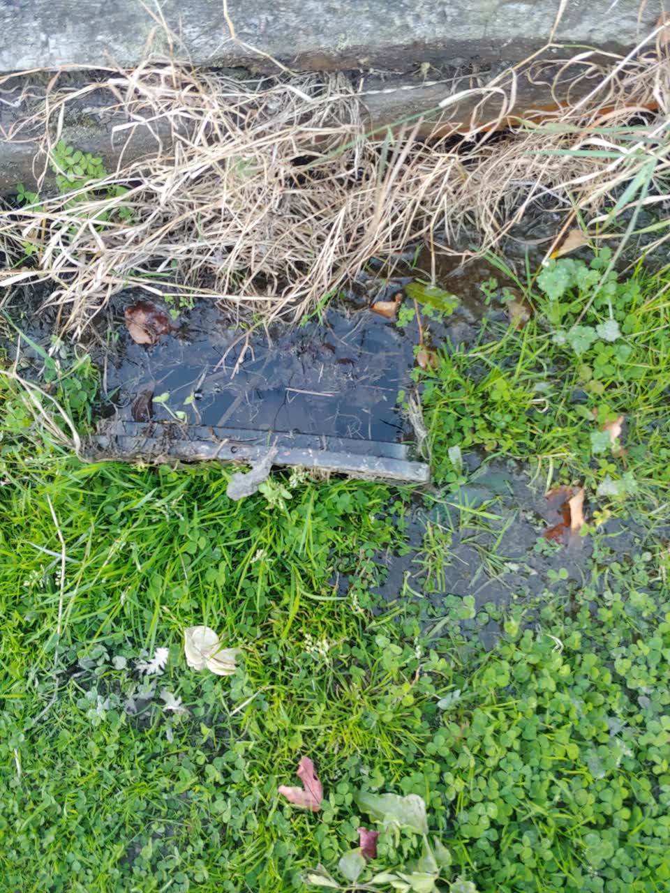 The photograph attached to this water supply report