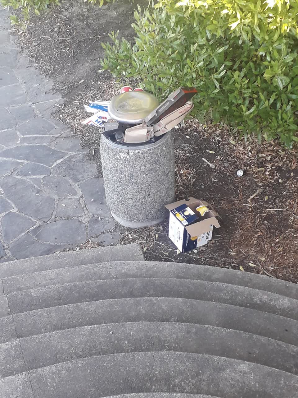 The photograph attached to this rubbish/recycling report