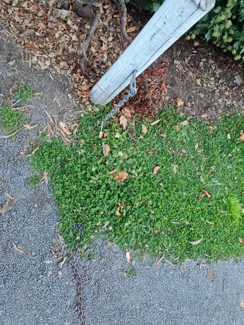 Parks — a report photo