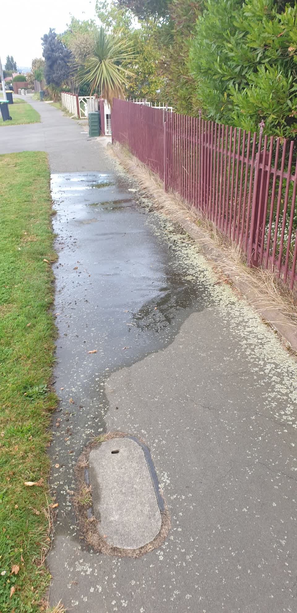 The photograph attached to this water supply report
