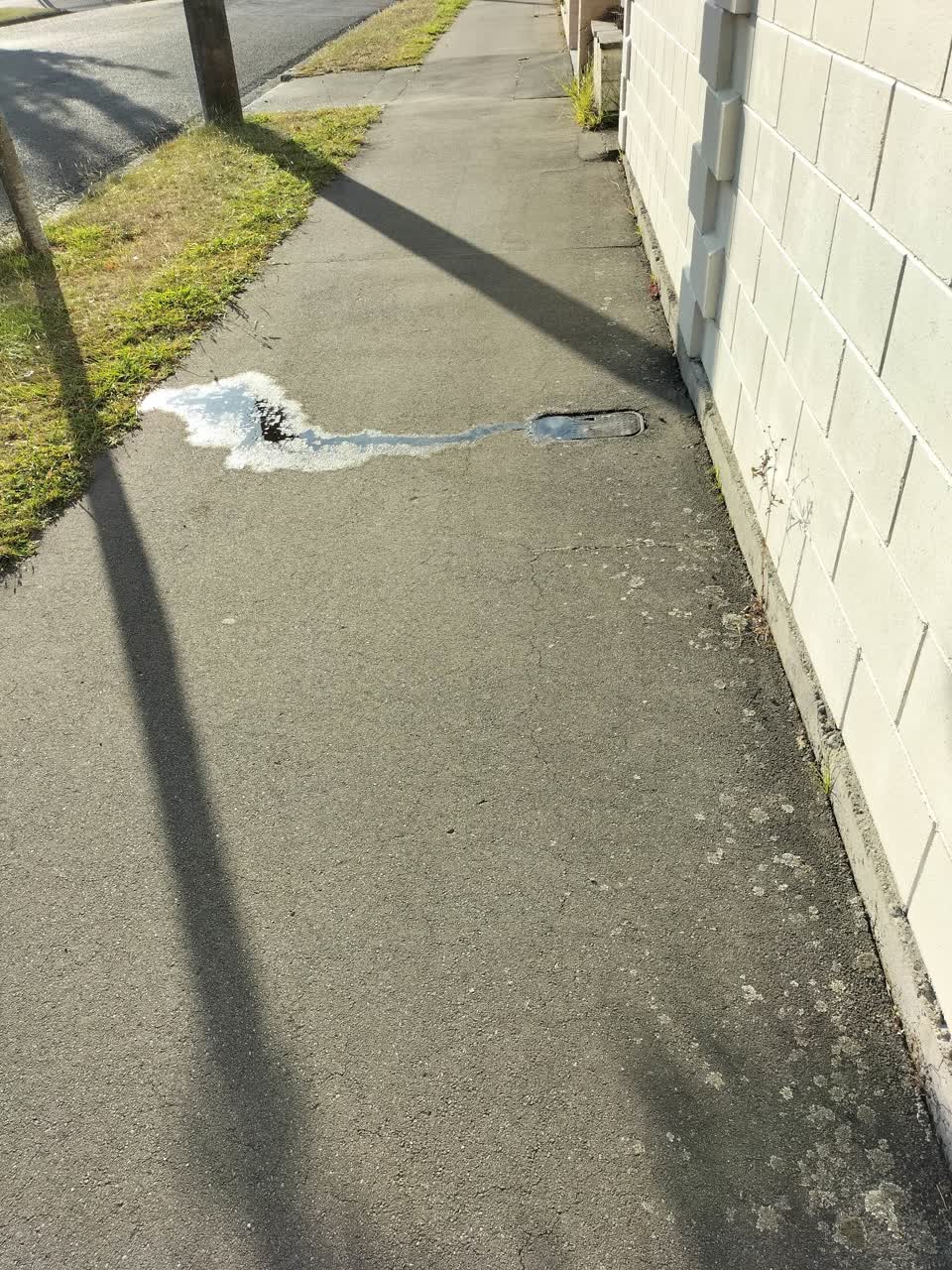 The photograph attached to this water leak report
