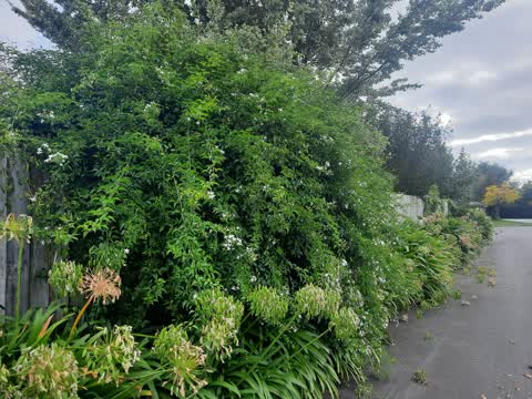 Roading/Streets, a report photo