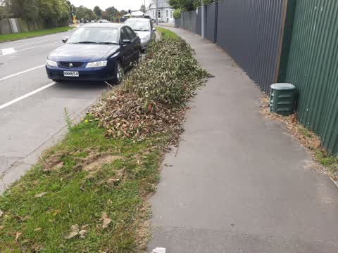 Rubbish/Recycling, a report photo