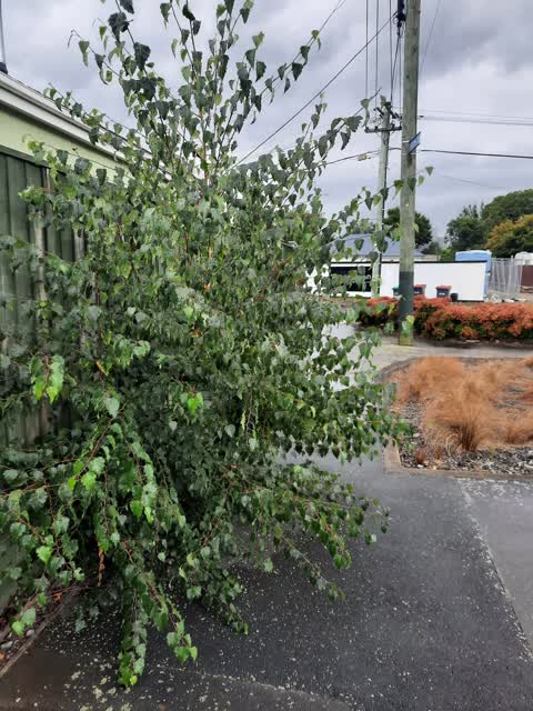 Roading/Streets — a report photo
