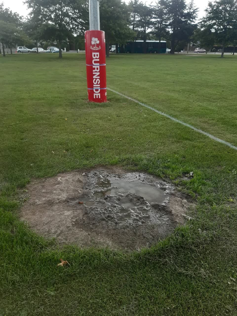 The photograph attached to this parks report