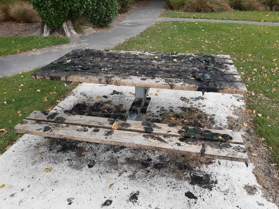 The photograph attached to this parks report