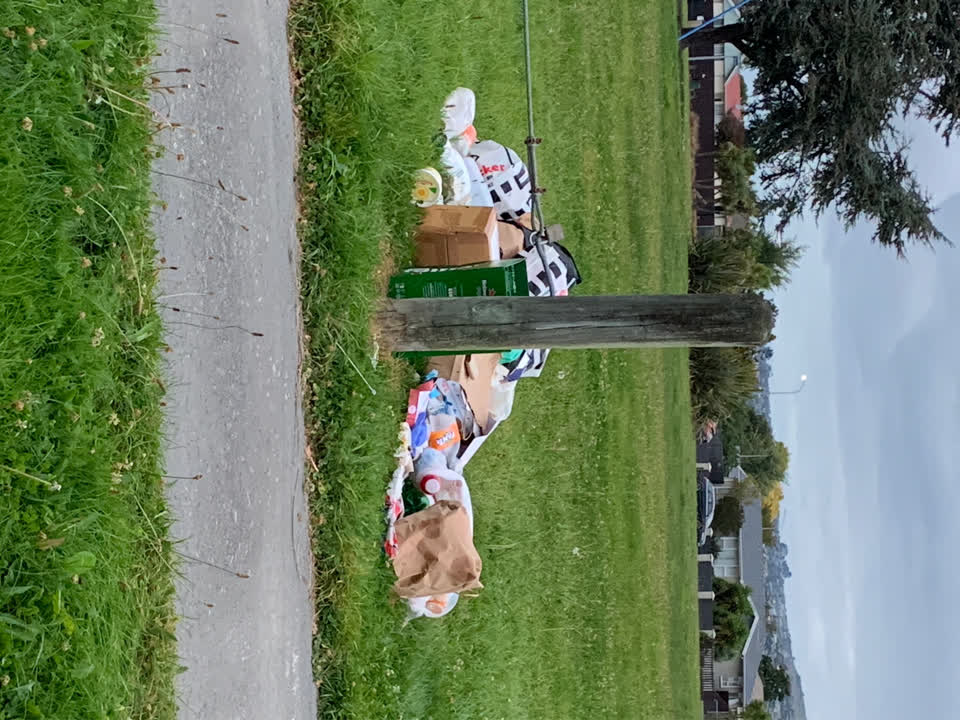 The photograph attached to this rubbish/recycling report