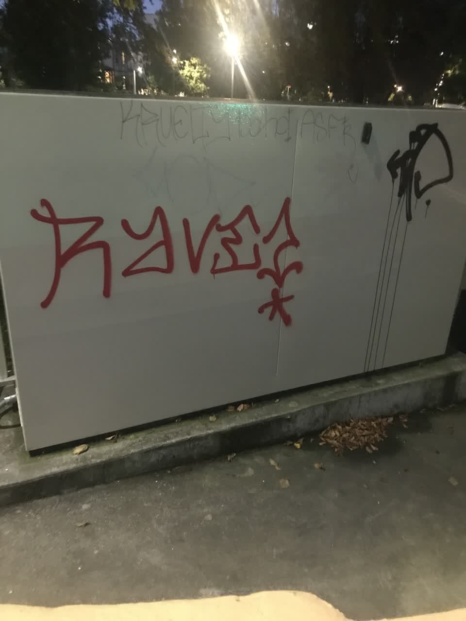 The photograph attached to this graffiti report