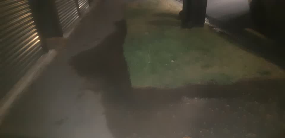 The photograph attached to this water leak report