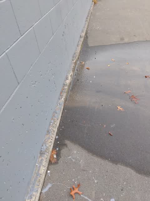 Water Leak, a report photo
