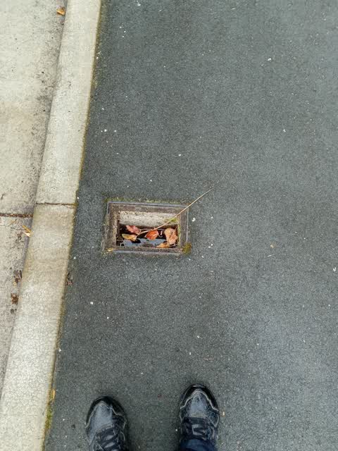 Roading/Streets, a report photo