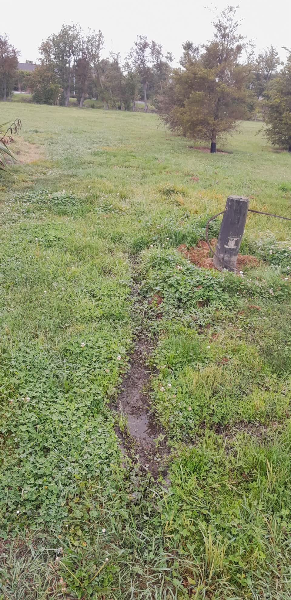 The photograph attached to this water leak report