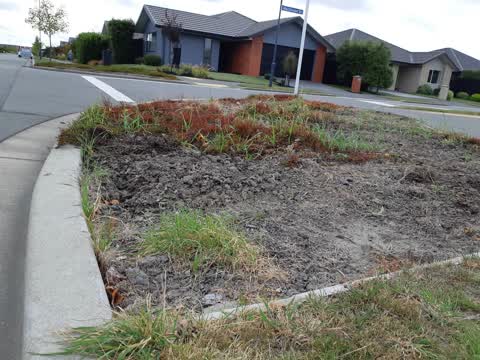 Parks, a report photo
