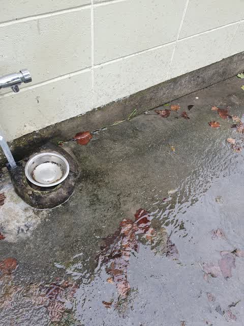 Parks, a report photo