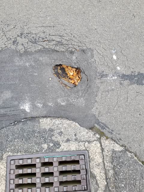 Roading/Streets, a report photo