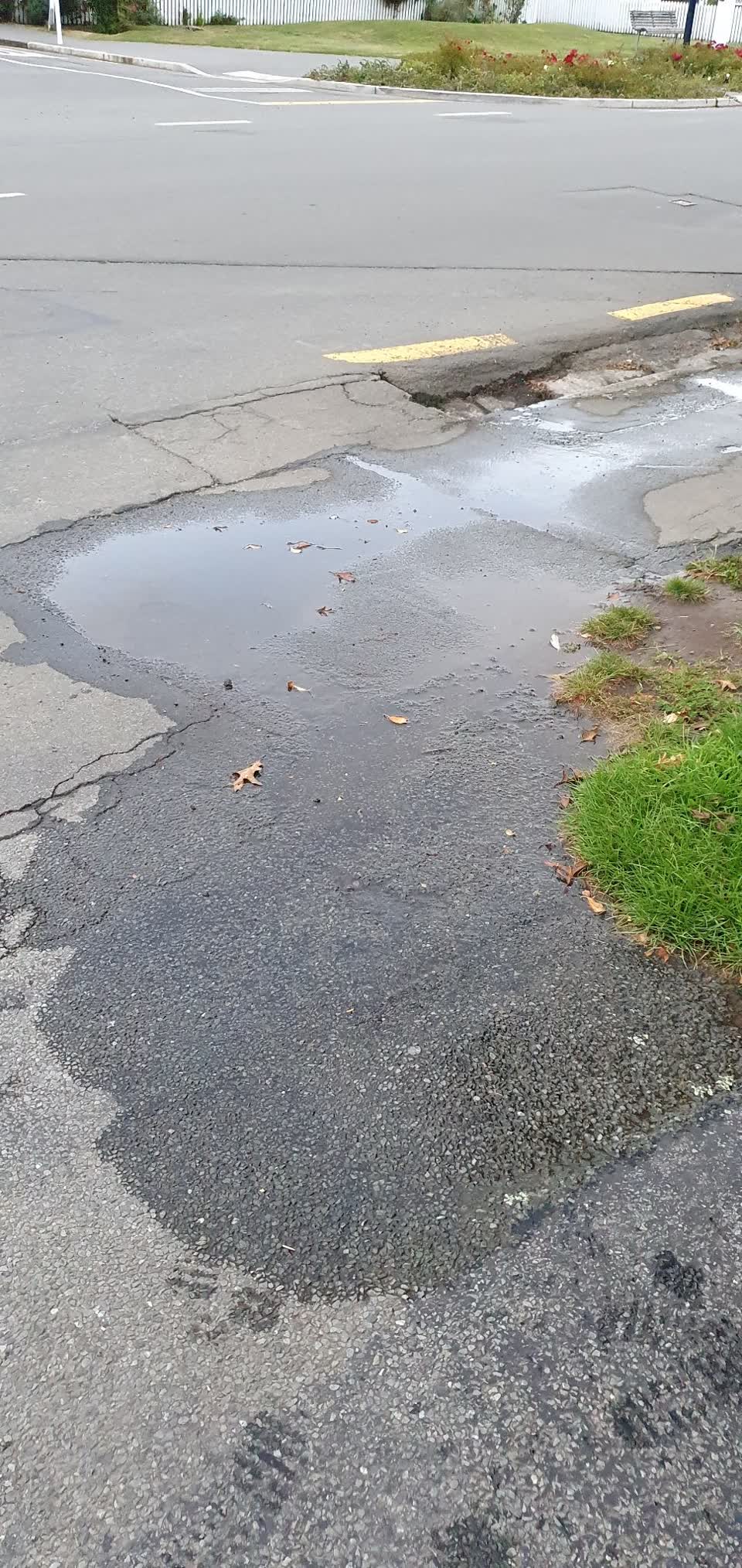 The photograph attached to this water leak report