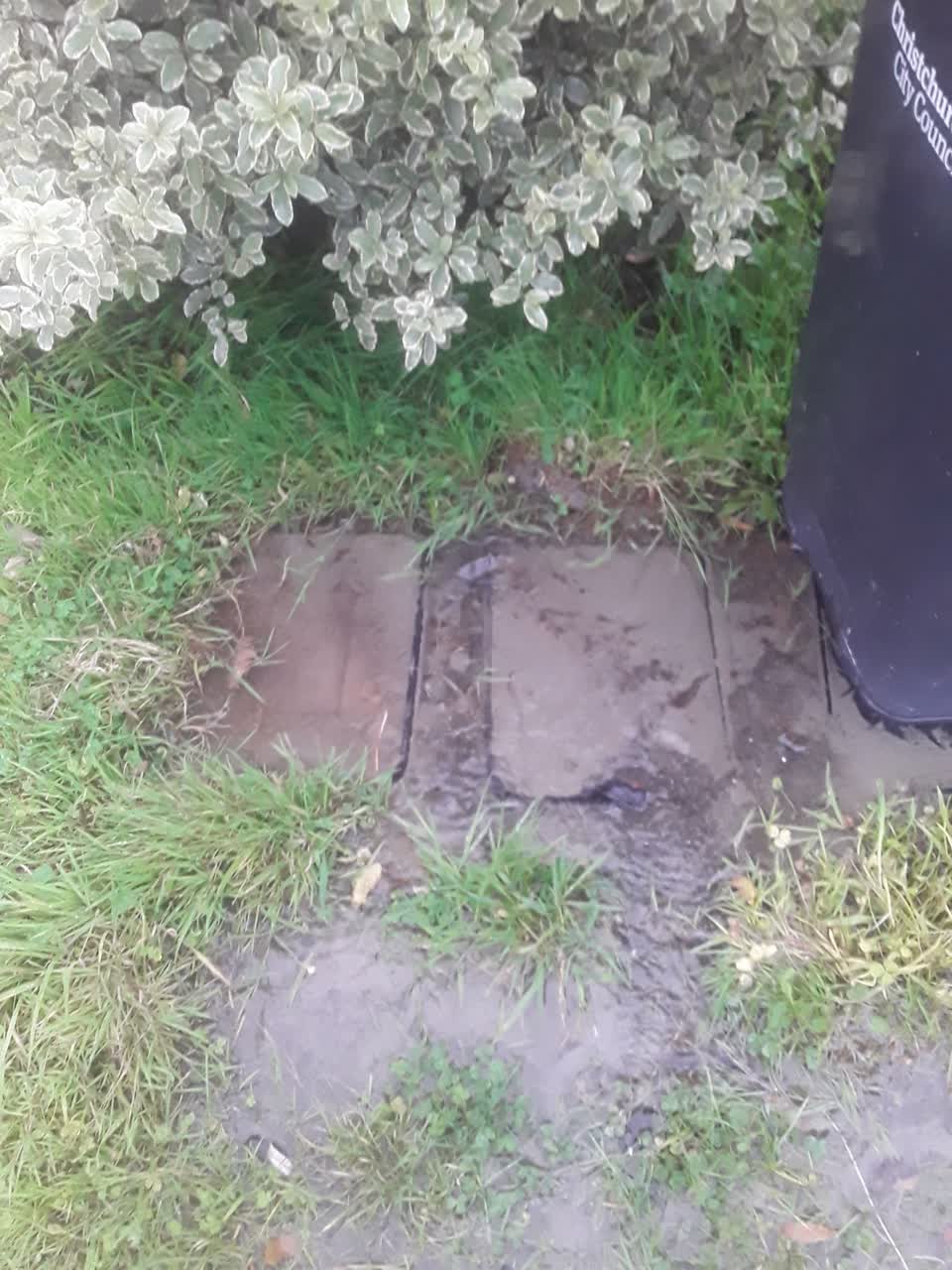The photograph attached to this water leak report