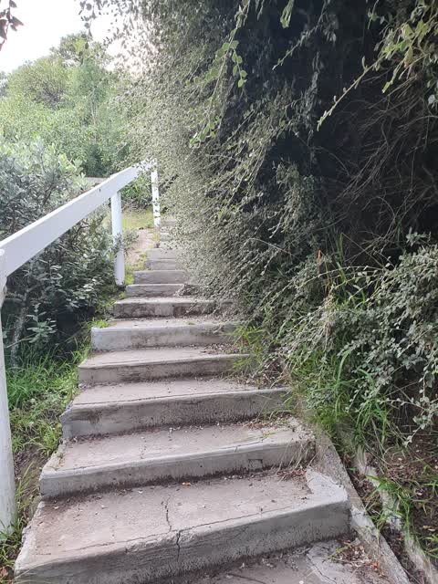 Parks, a report photo