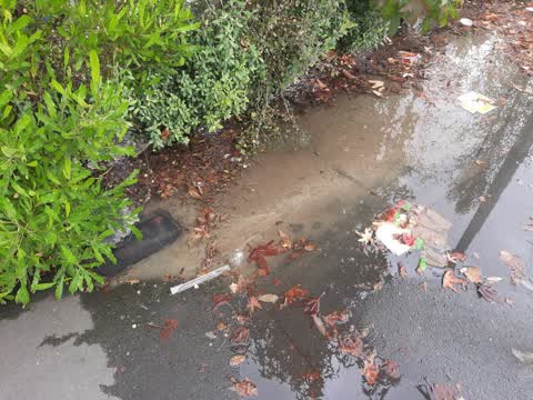 Water Leak, a report photo
