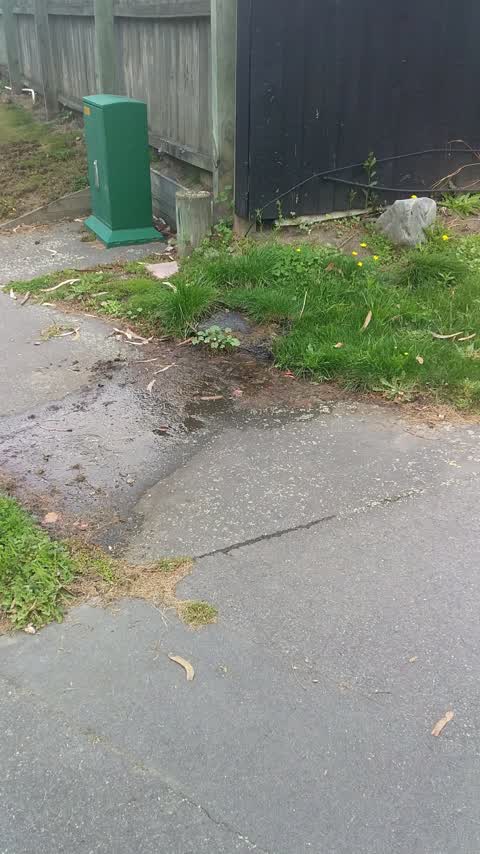 Water Leak, a report photo