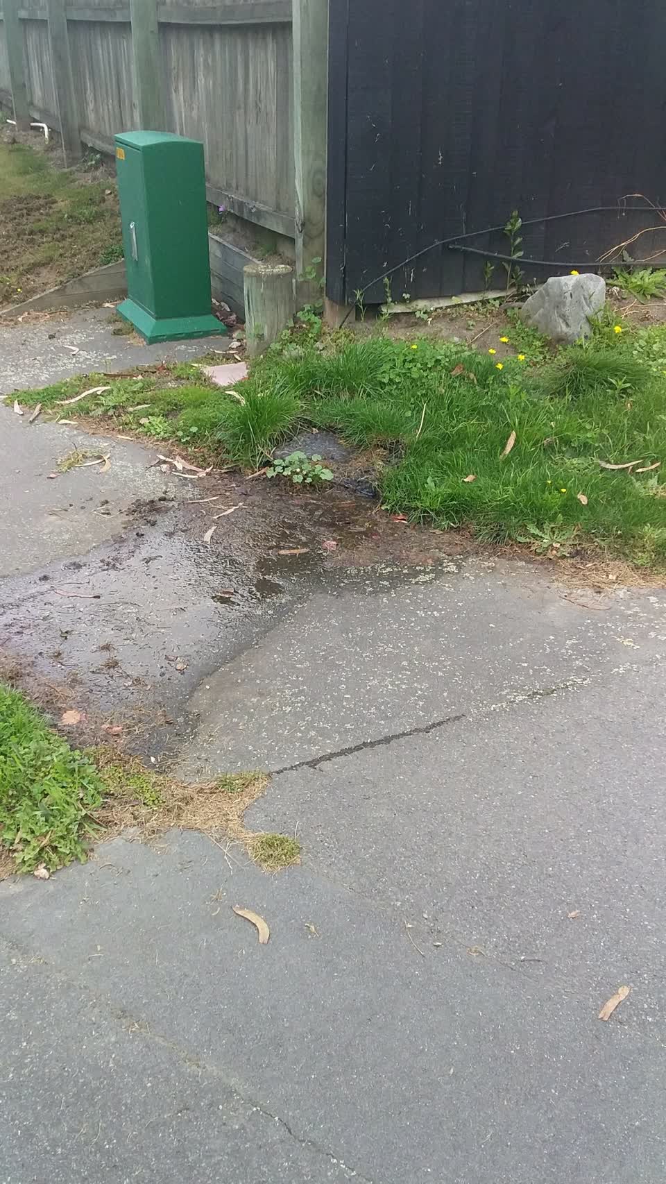 The photograph attached to this water leak report