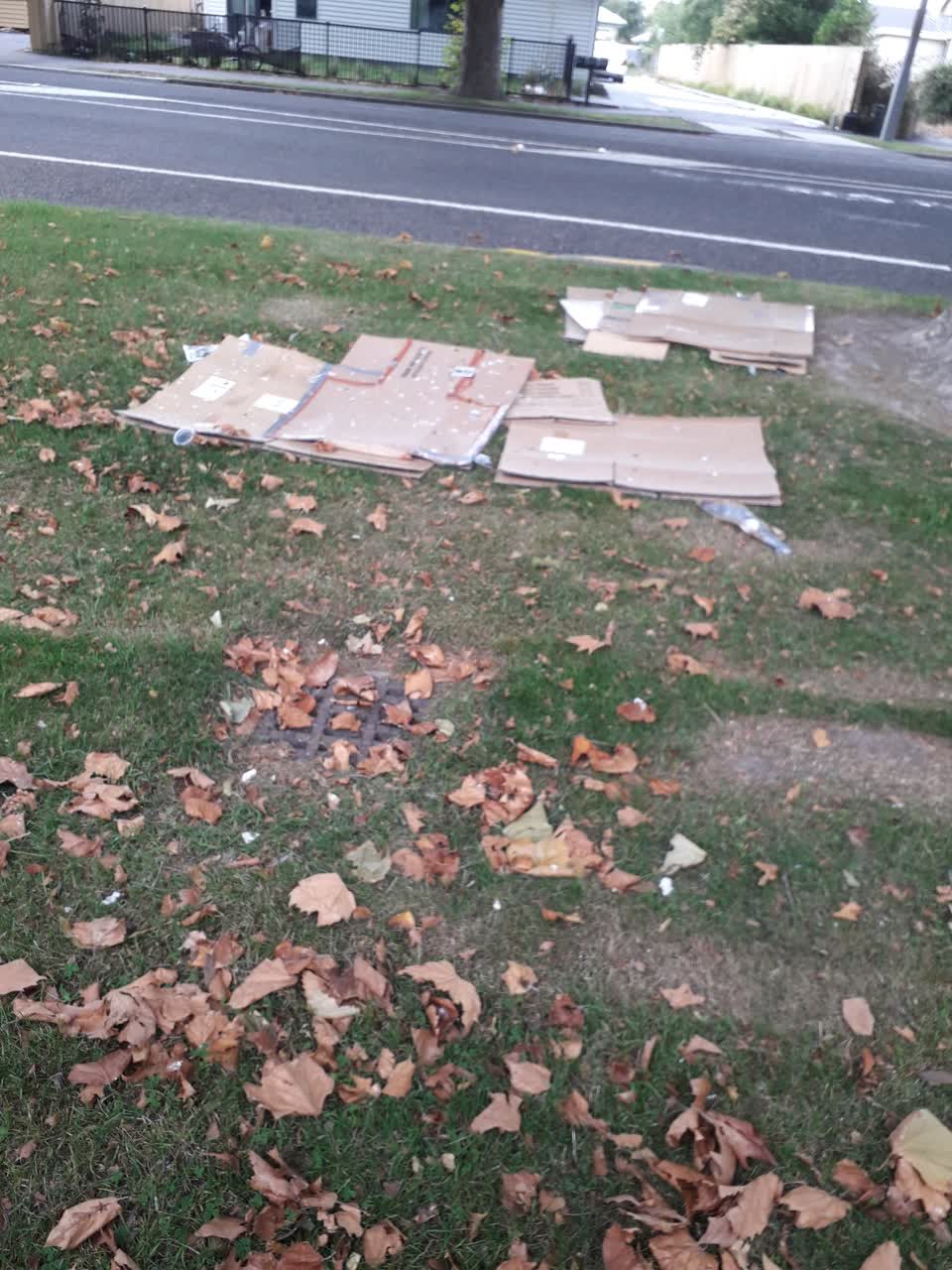 The photograph attached to this rubbish/recycling report