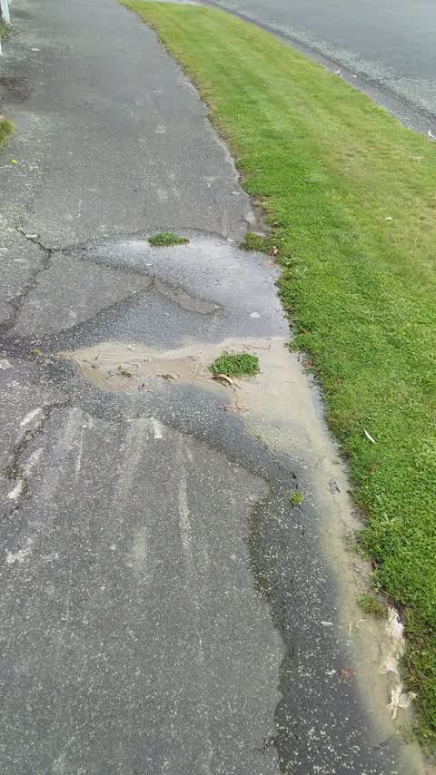 Water Leak, a report photo