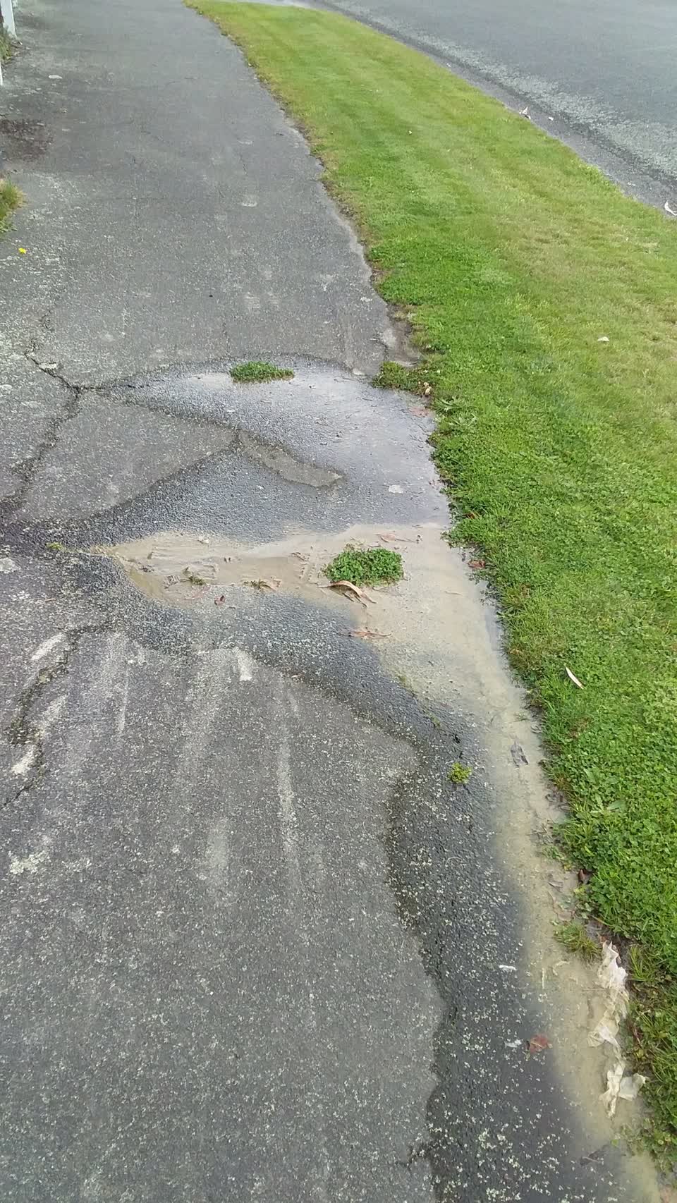 The photograph attached to this water leak report